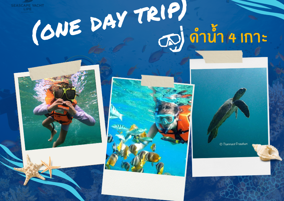 ทริปดำน้ำเกาะหลีเป๊ะ One Day Trip (Seascape Yacht Lipe)