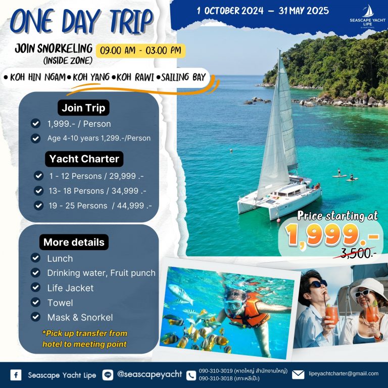 one day trip snorkeling